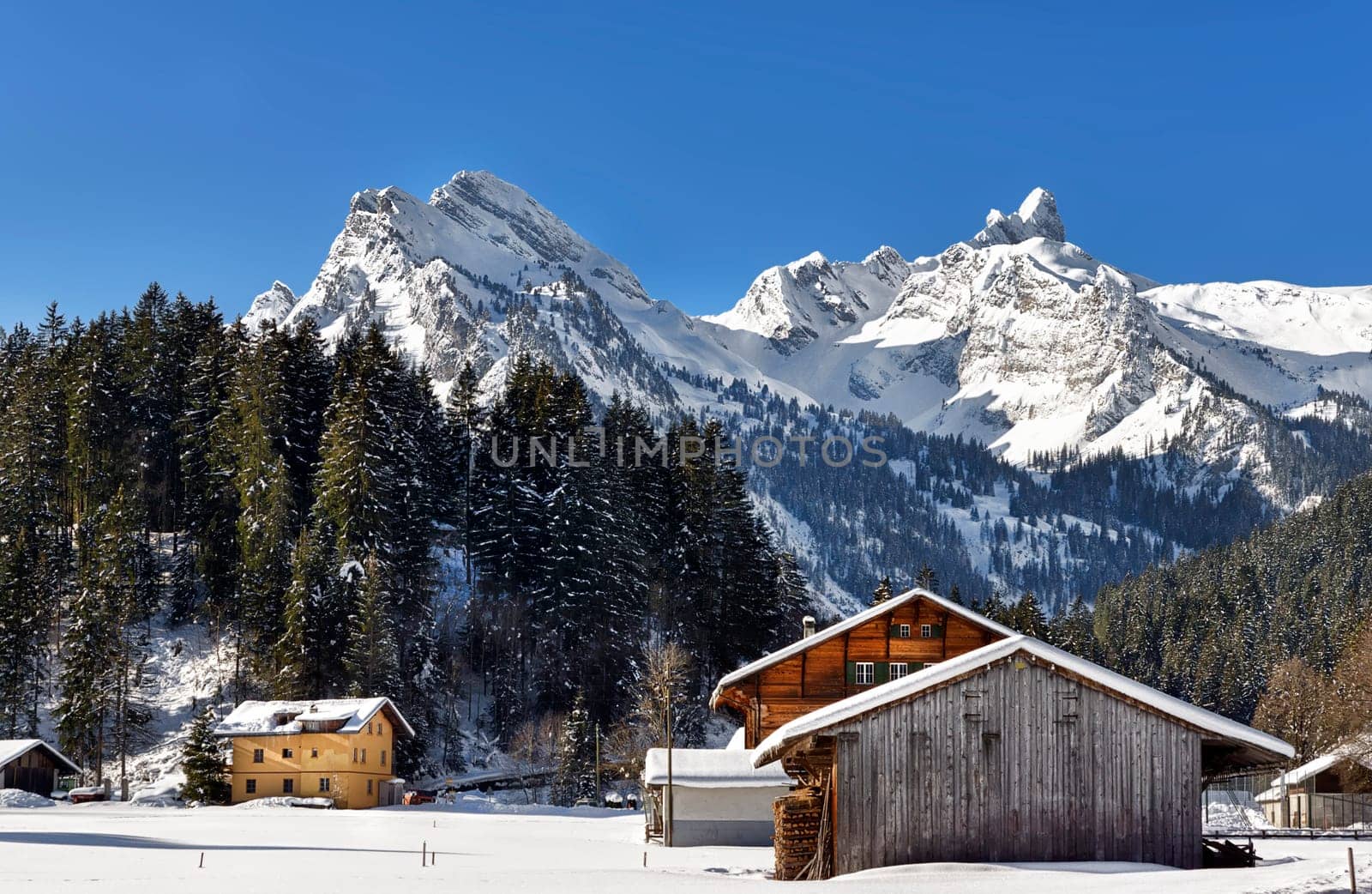 Grimmialp