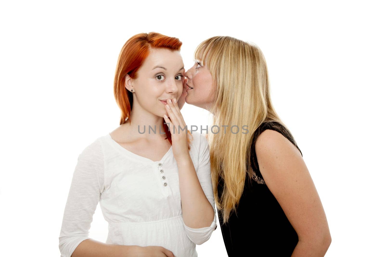 young beautiful red and blond haired girls in front of white background