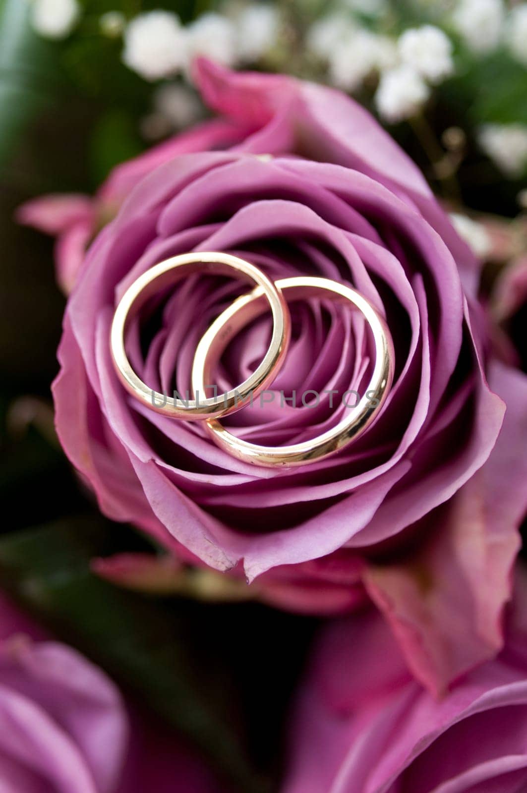 Wedding rings on rose flower