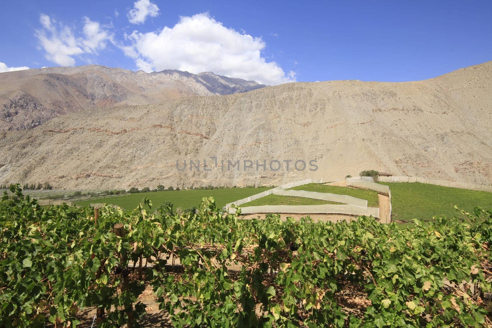 Elqui valley