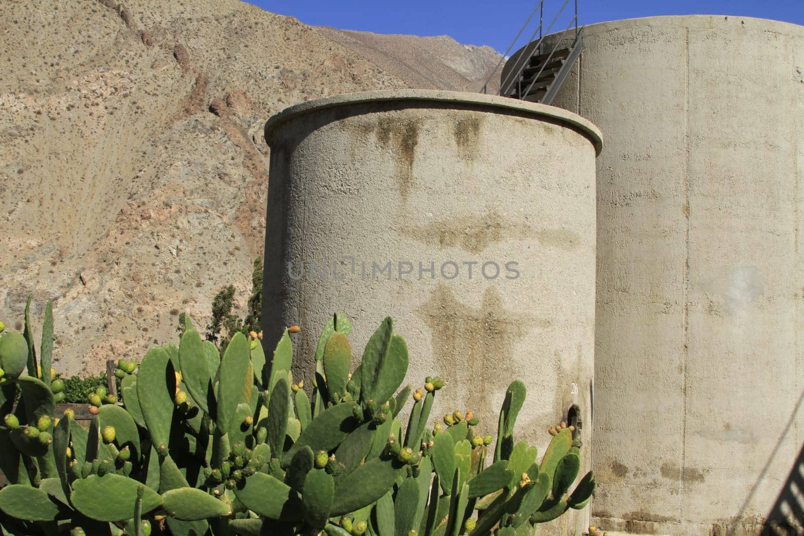 Pisco sour distillery in Pisco Elqui