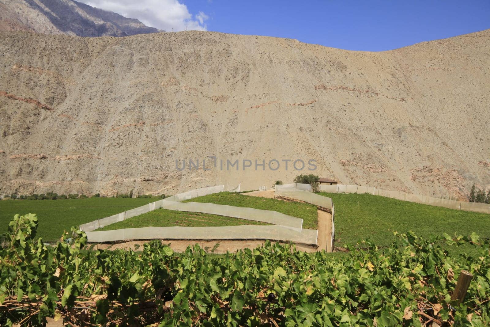 Elqui valley