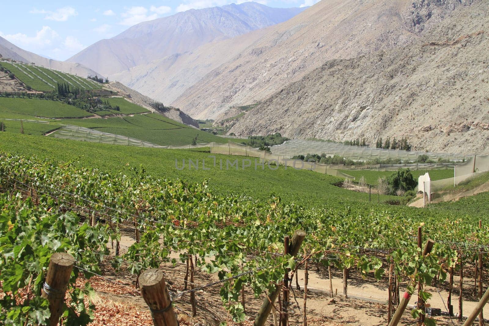 Elqui valley