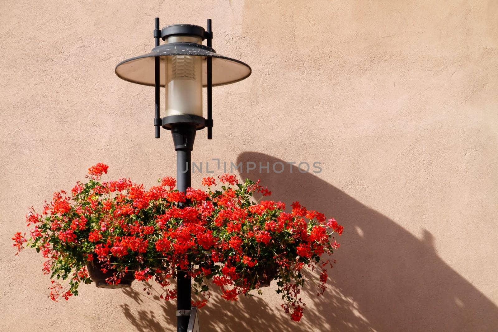 Street lamp with geraniums