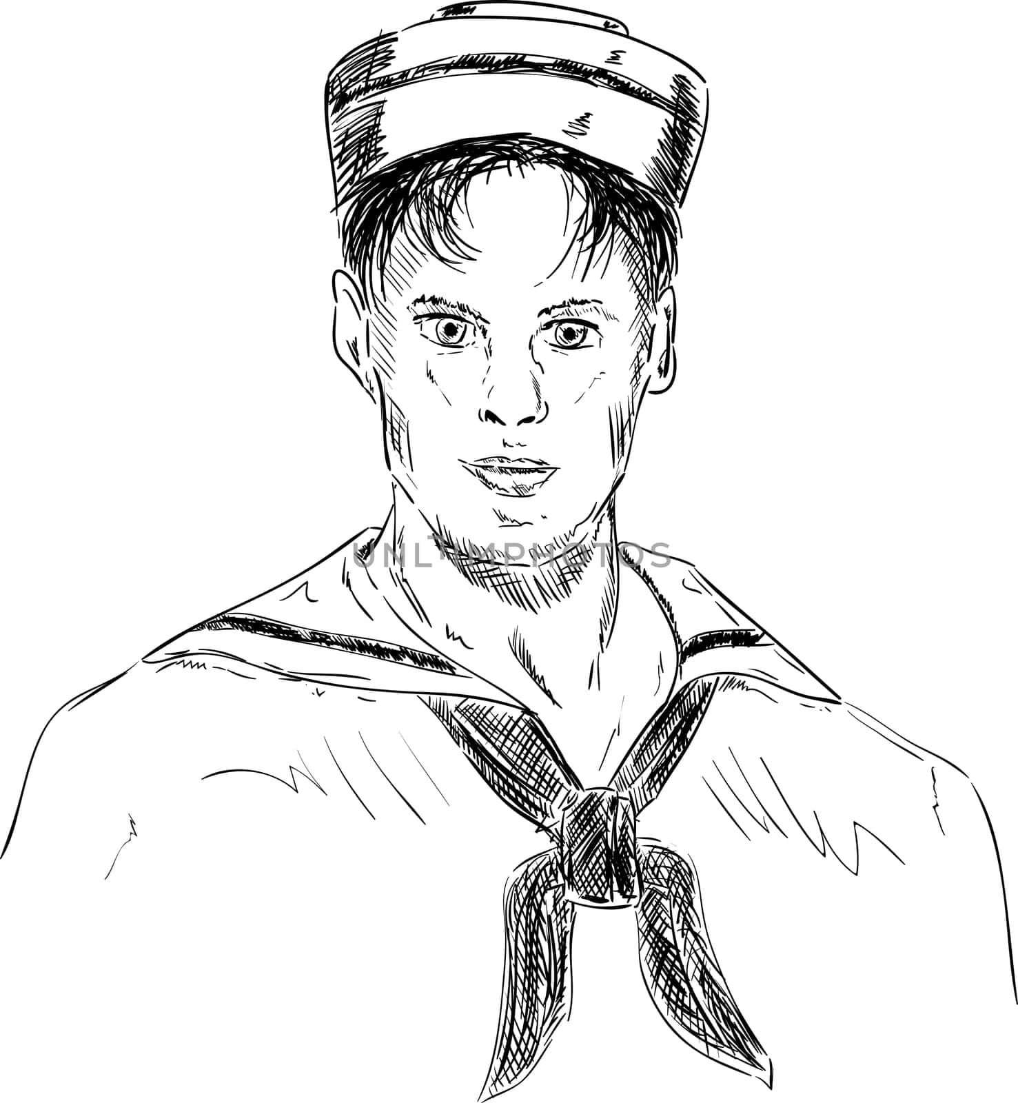 vector - portrait of young sailor, isolated on background