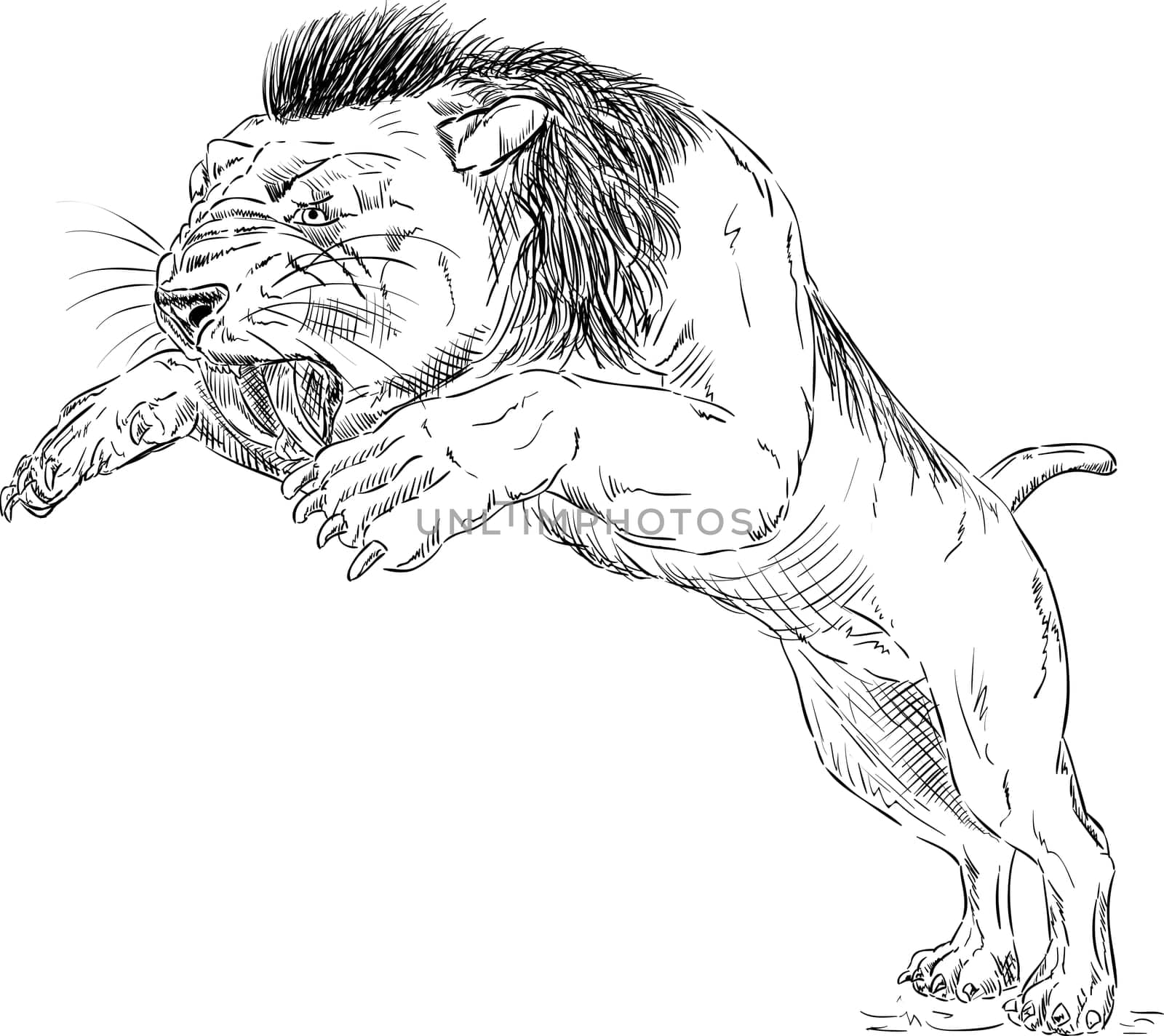 vector - Smilodon - saber-toothed tiger jumping