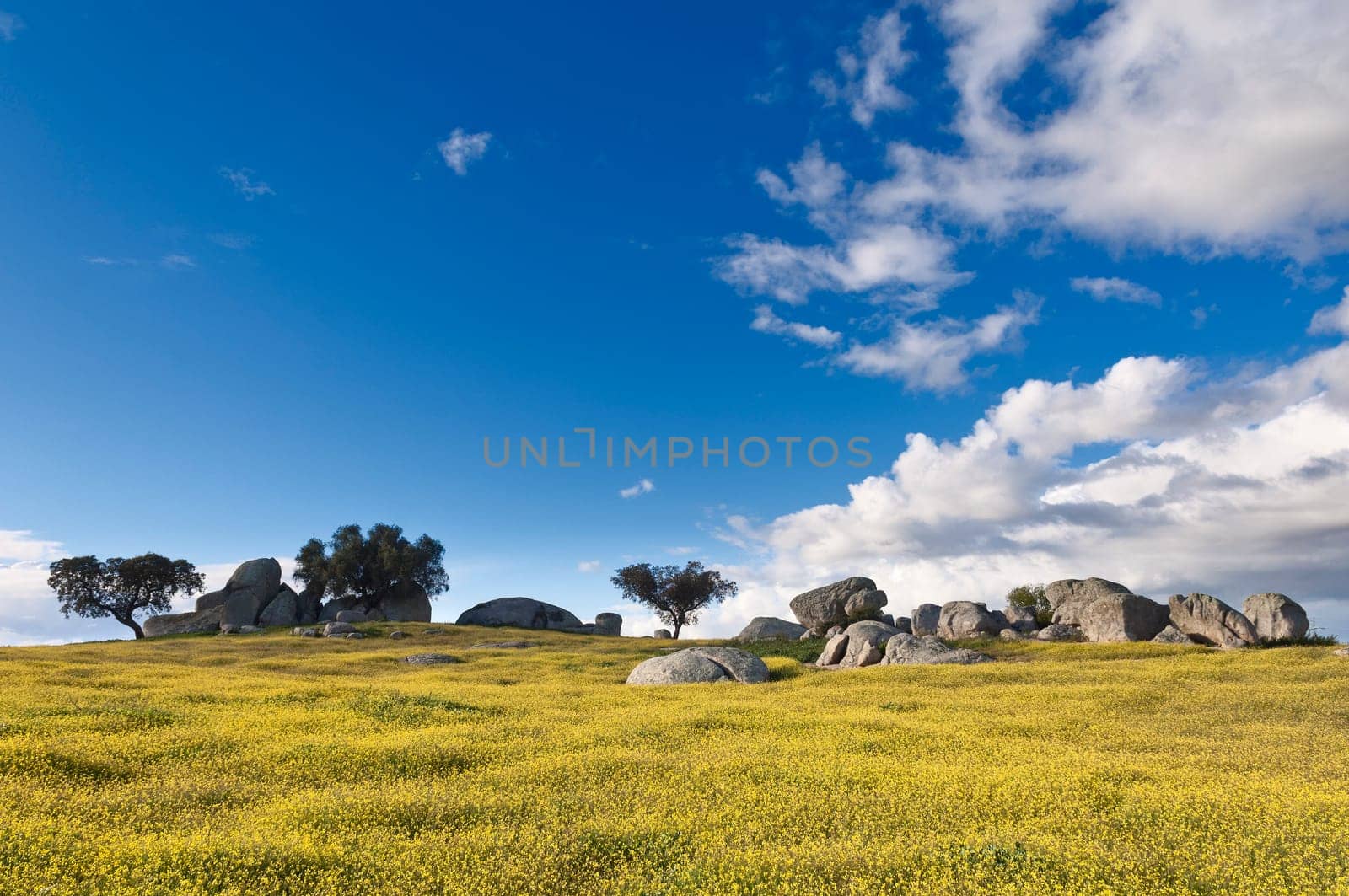Vast plains of the Alentejo country in spring, Portugal