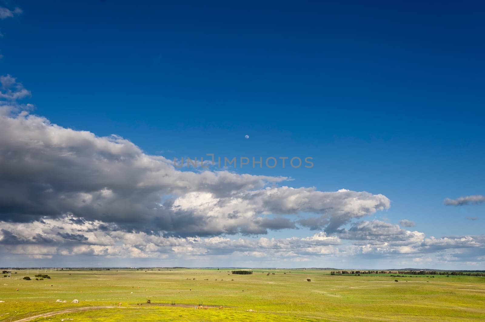Vast plains of the Alentejo country in spring, Portugal