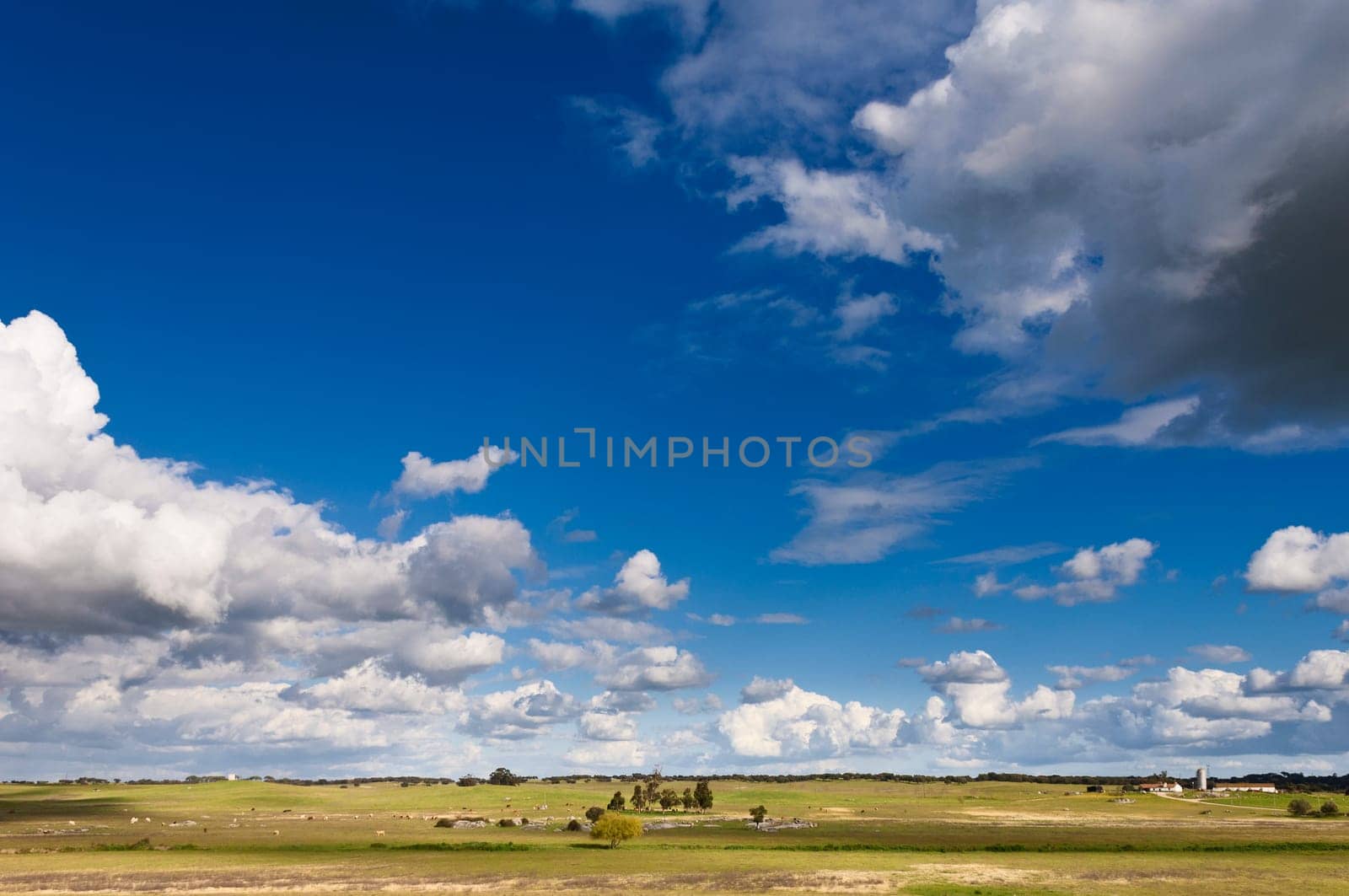 Vast plains of the Alentejo country in spring, Portugal