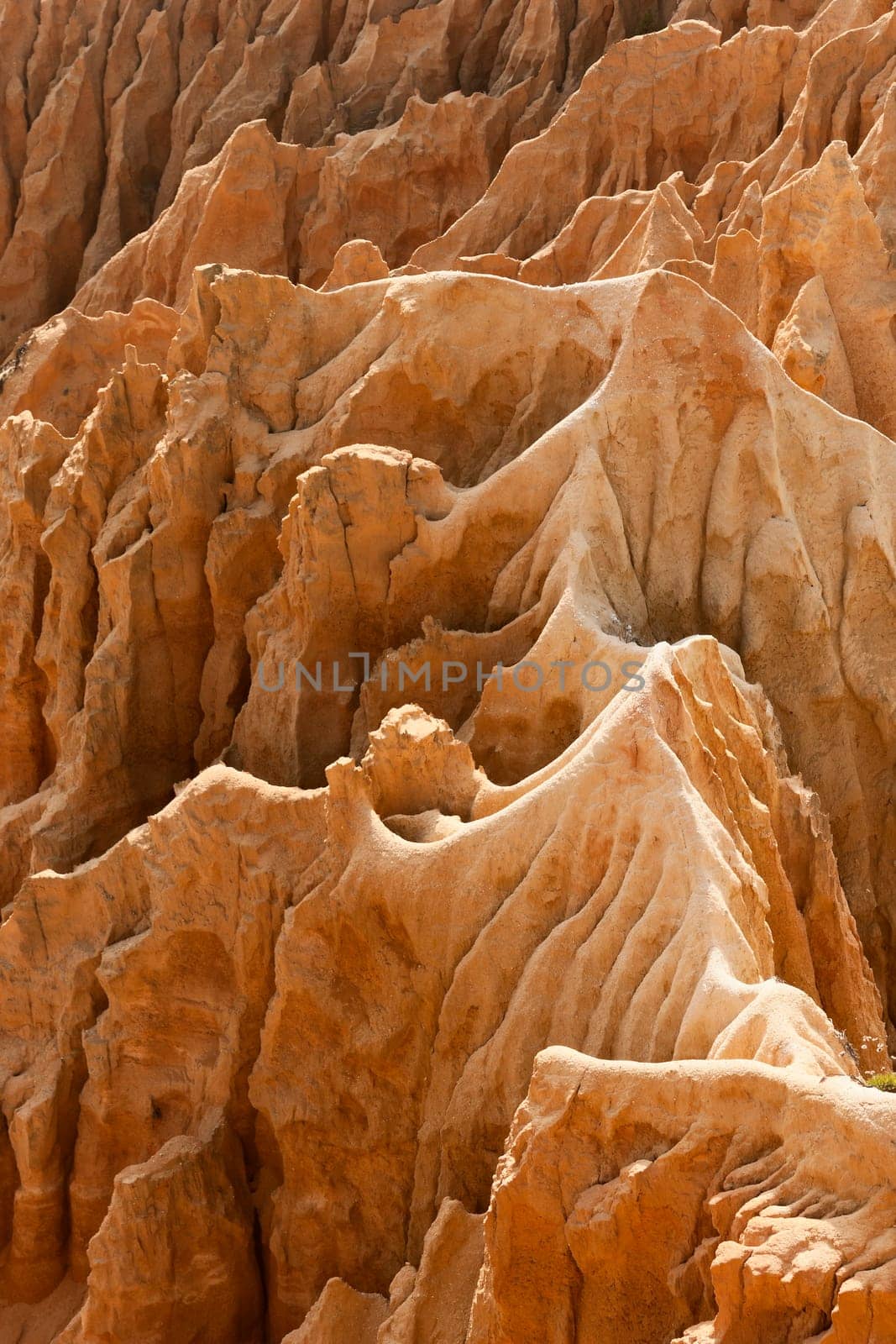 Sandstone cliffs detail in Gale beach, Comporta , Portugal