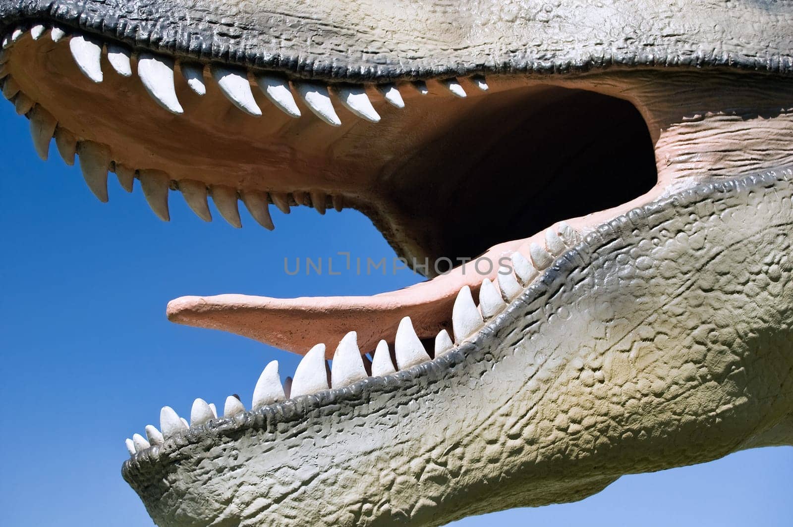 Wide open mouth of a T-Rex