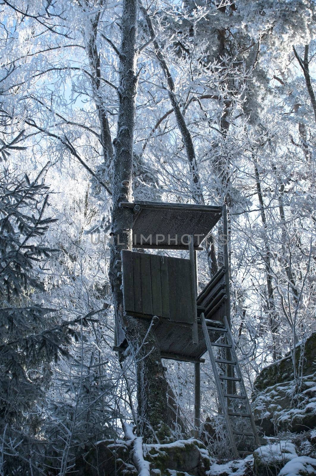 Hunting Tower in Winter Forest, taken in Upper Austria