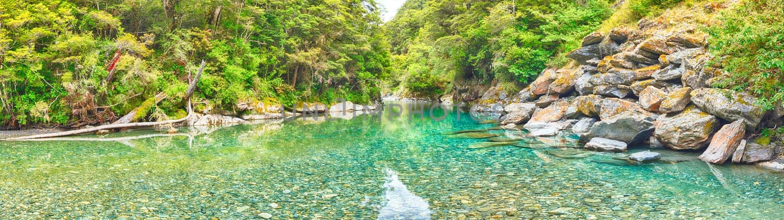 Beautiful stream (Haast Pass, South Island, New Zealand)