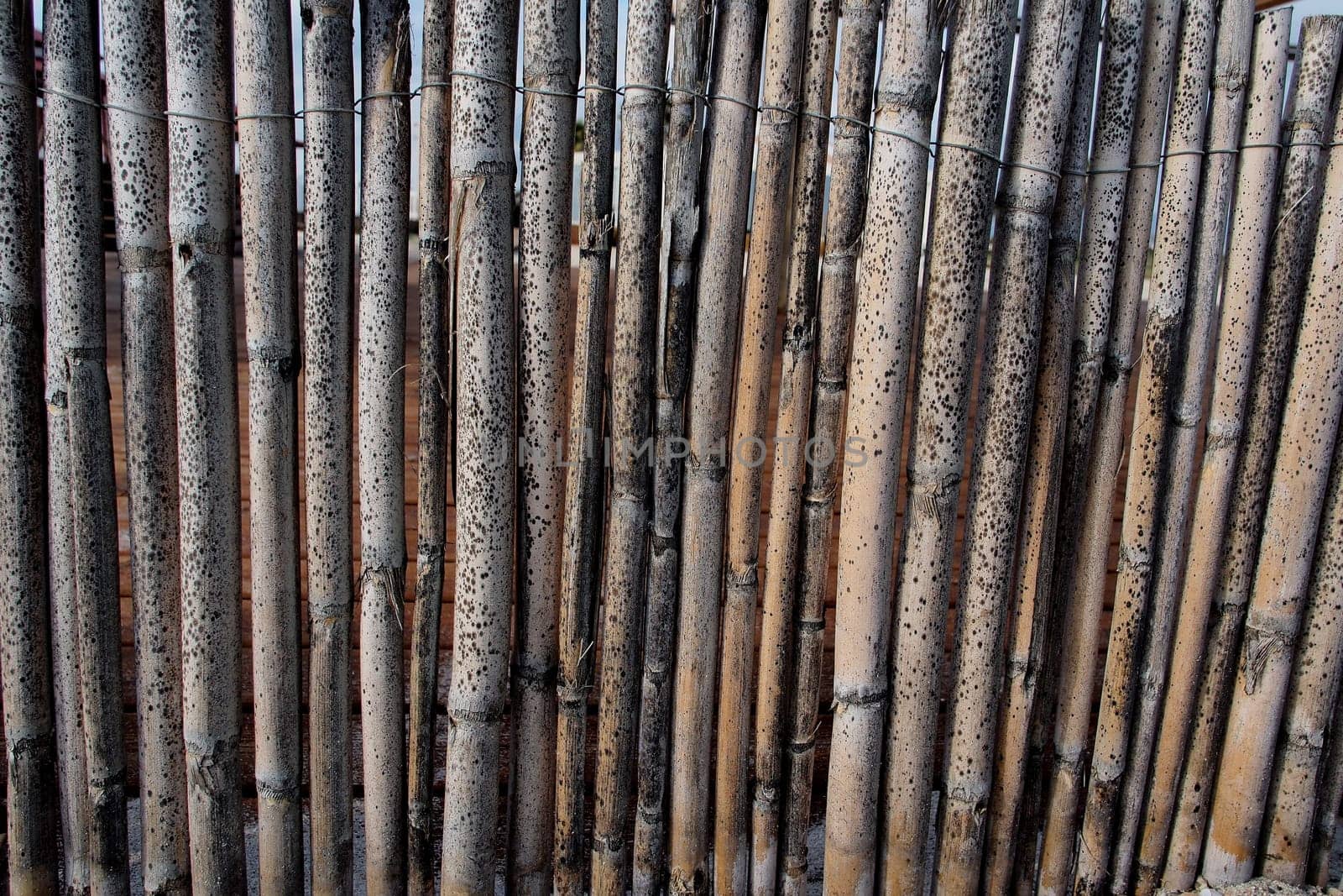fence made of dried reeds