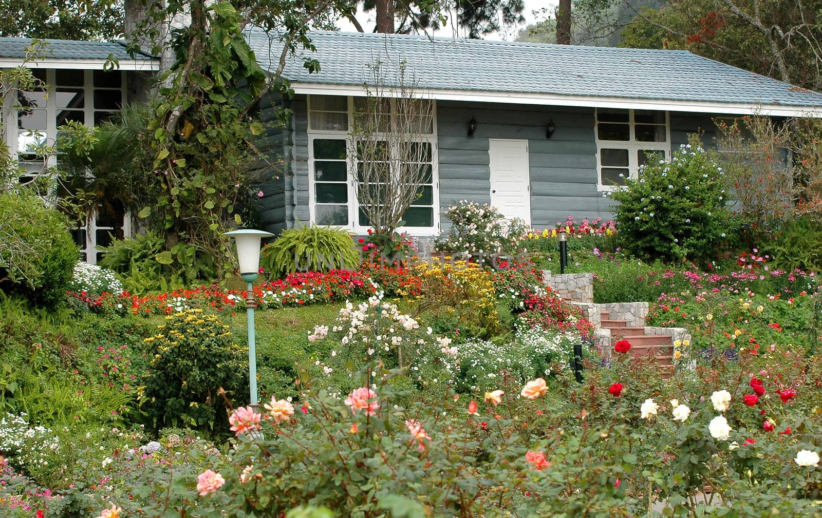 garden