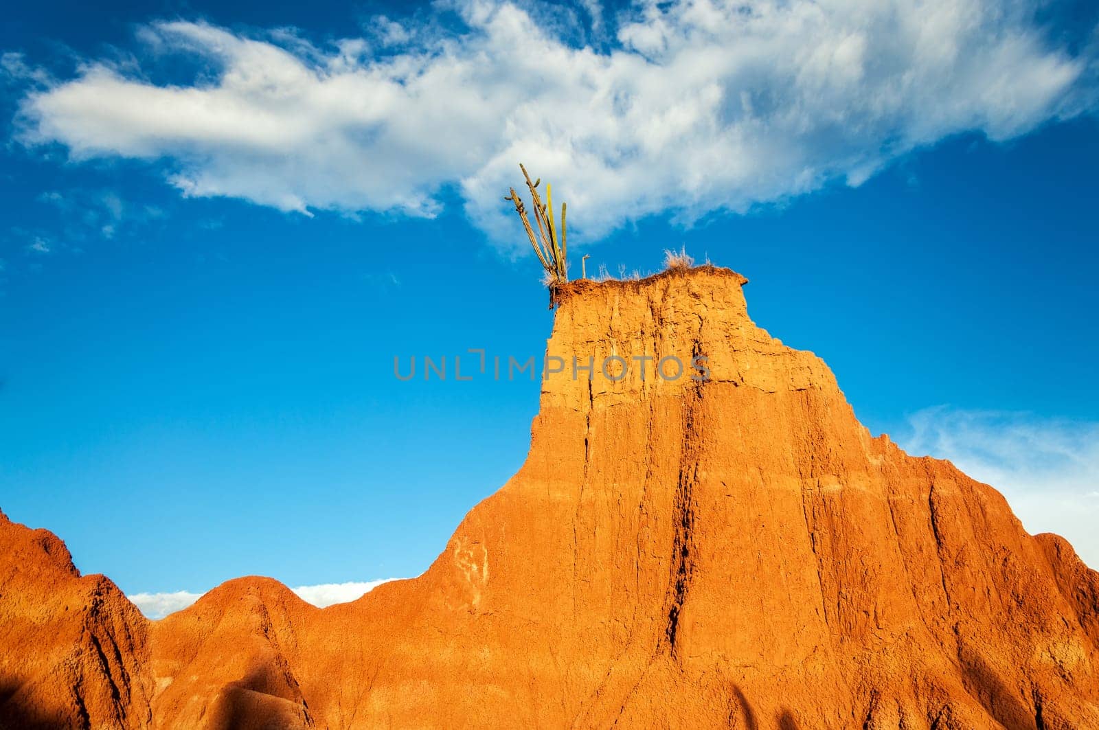 A cactus perched atop a beautiful red desert hill in Tatacoa desert in Huila, Colombia