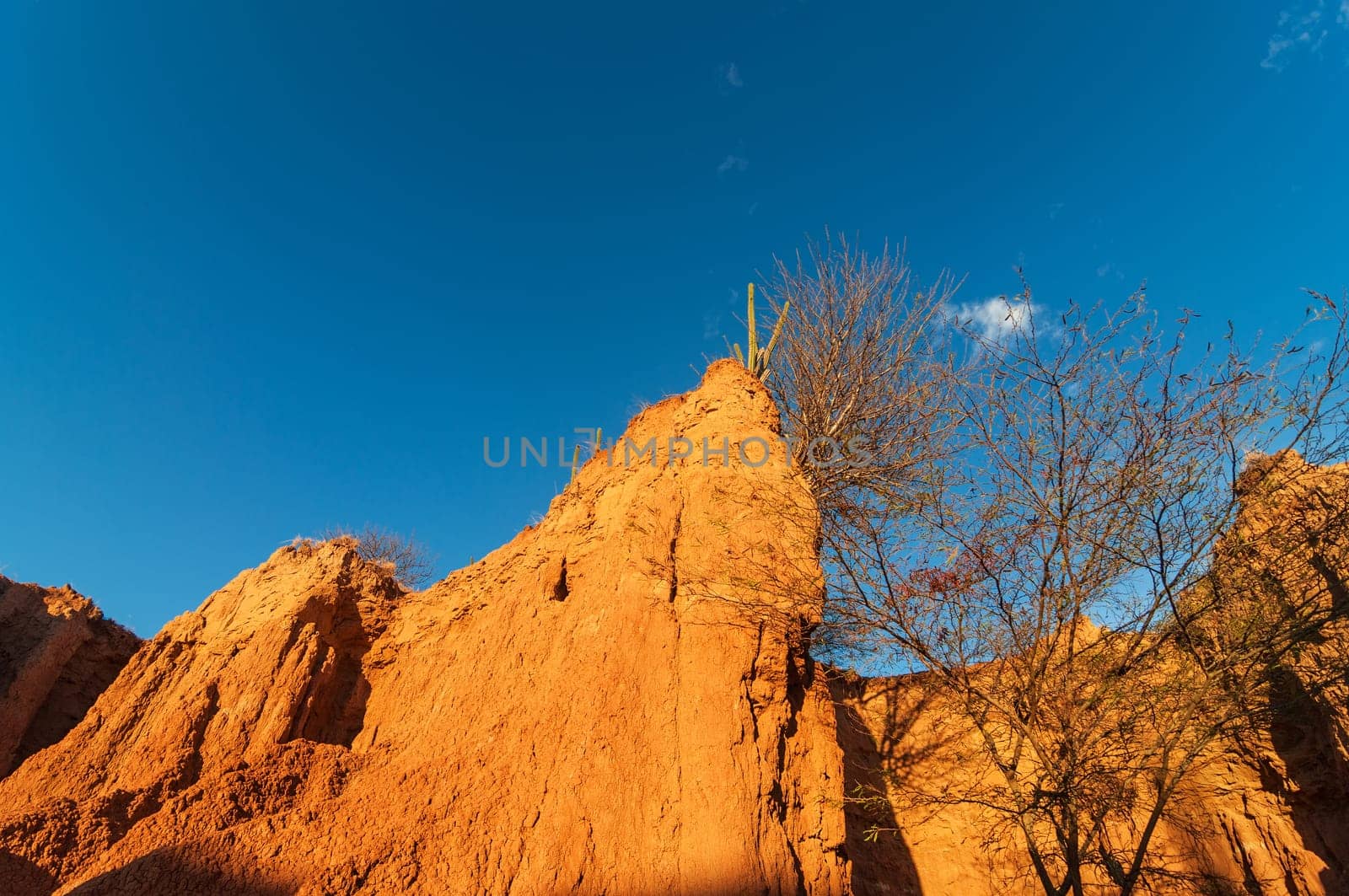 Wall of small desert canyon in golden light in Huila, Colombia