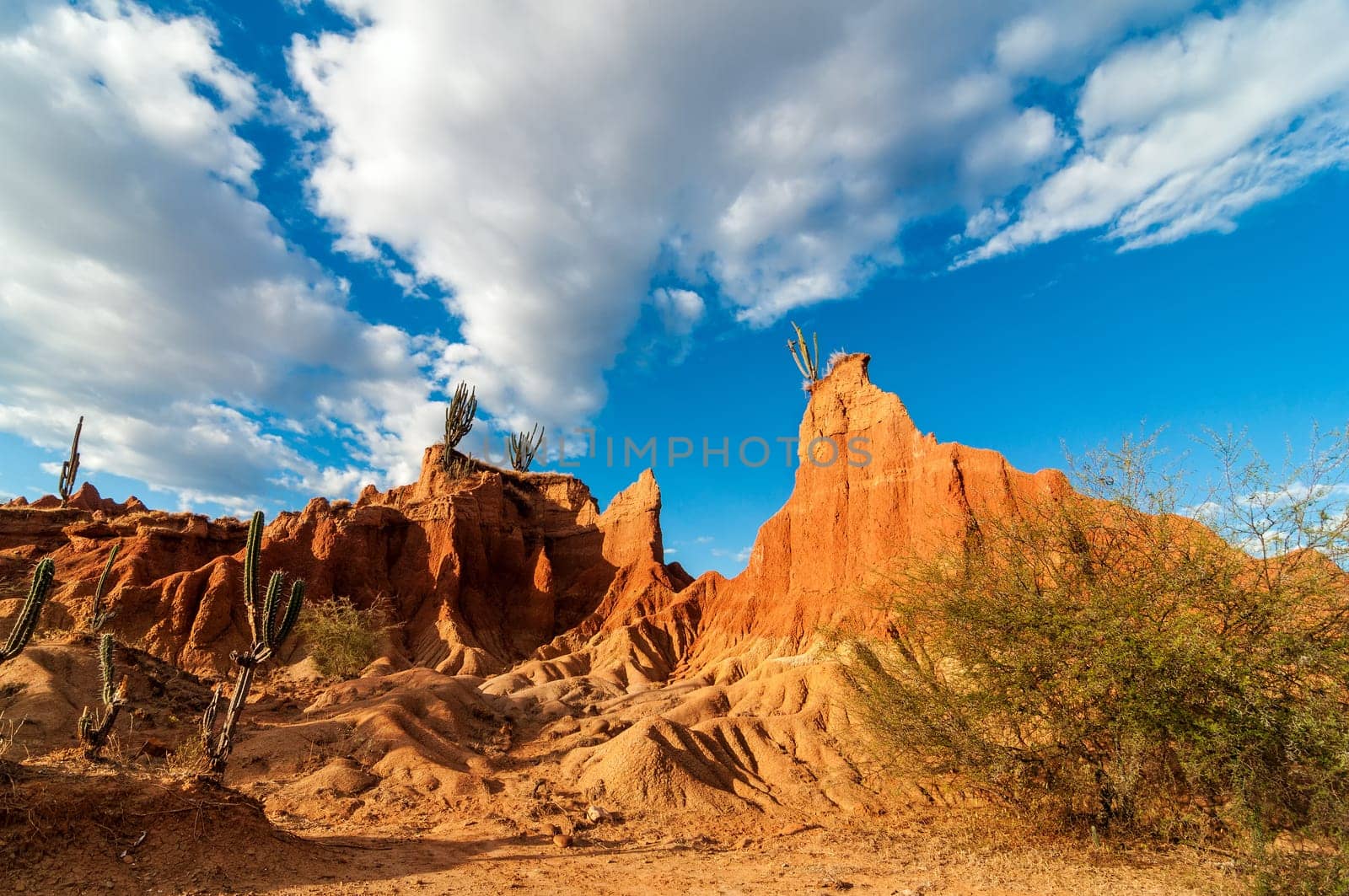View of desert valley with dramatic rock formations and cactus