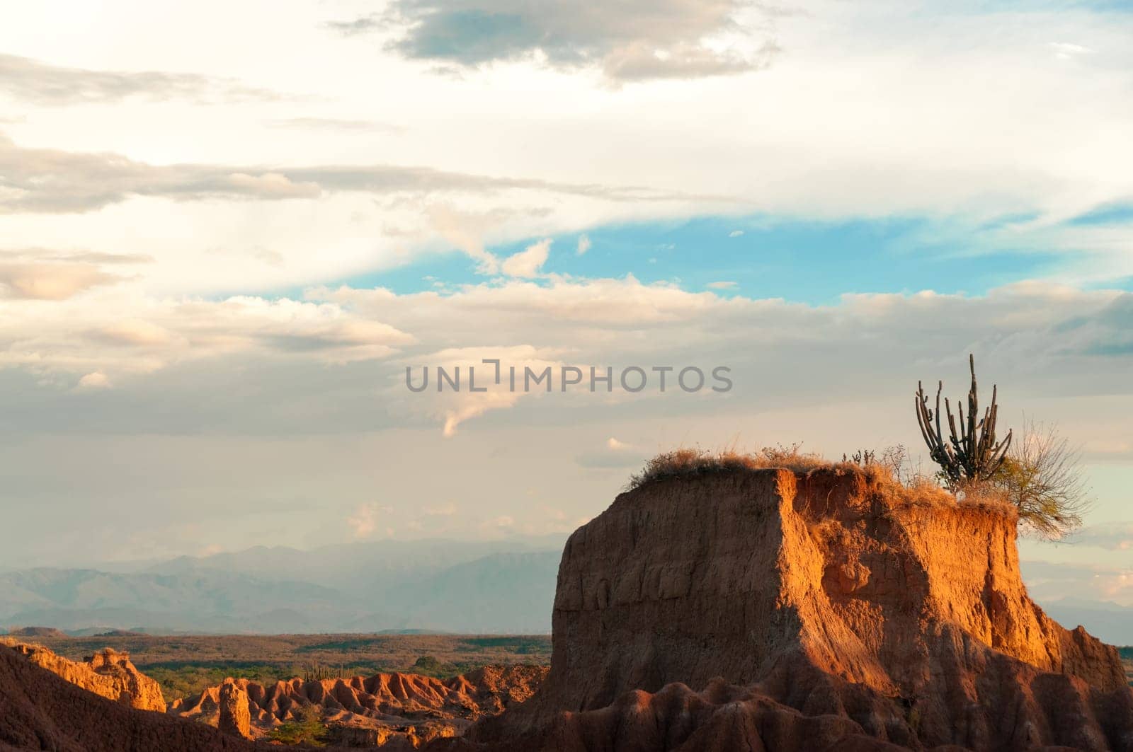 Small mesa in a desert in late afternoon sunlight