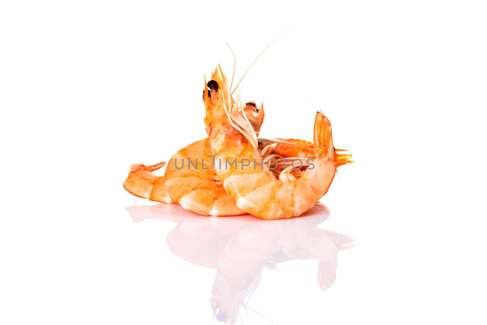 Shrimps