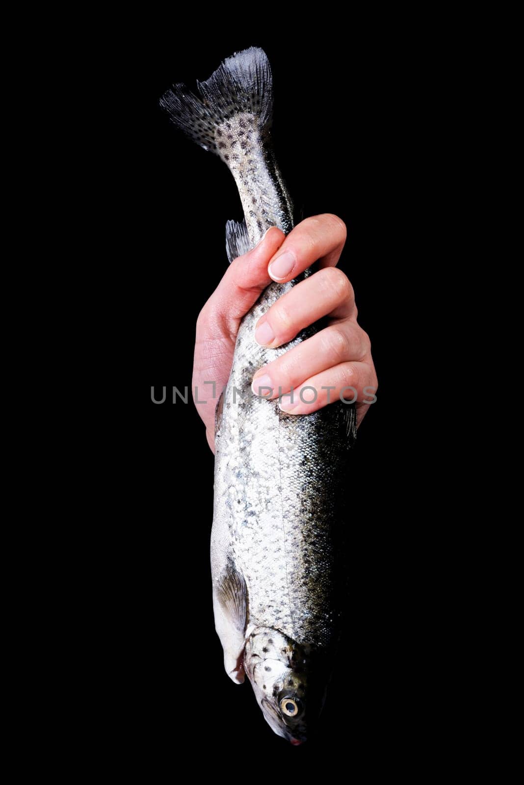 Trouts