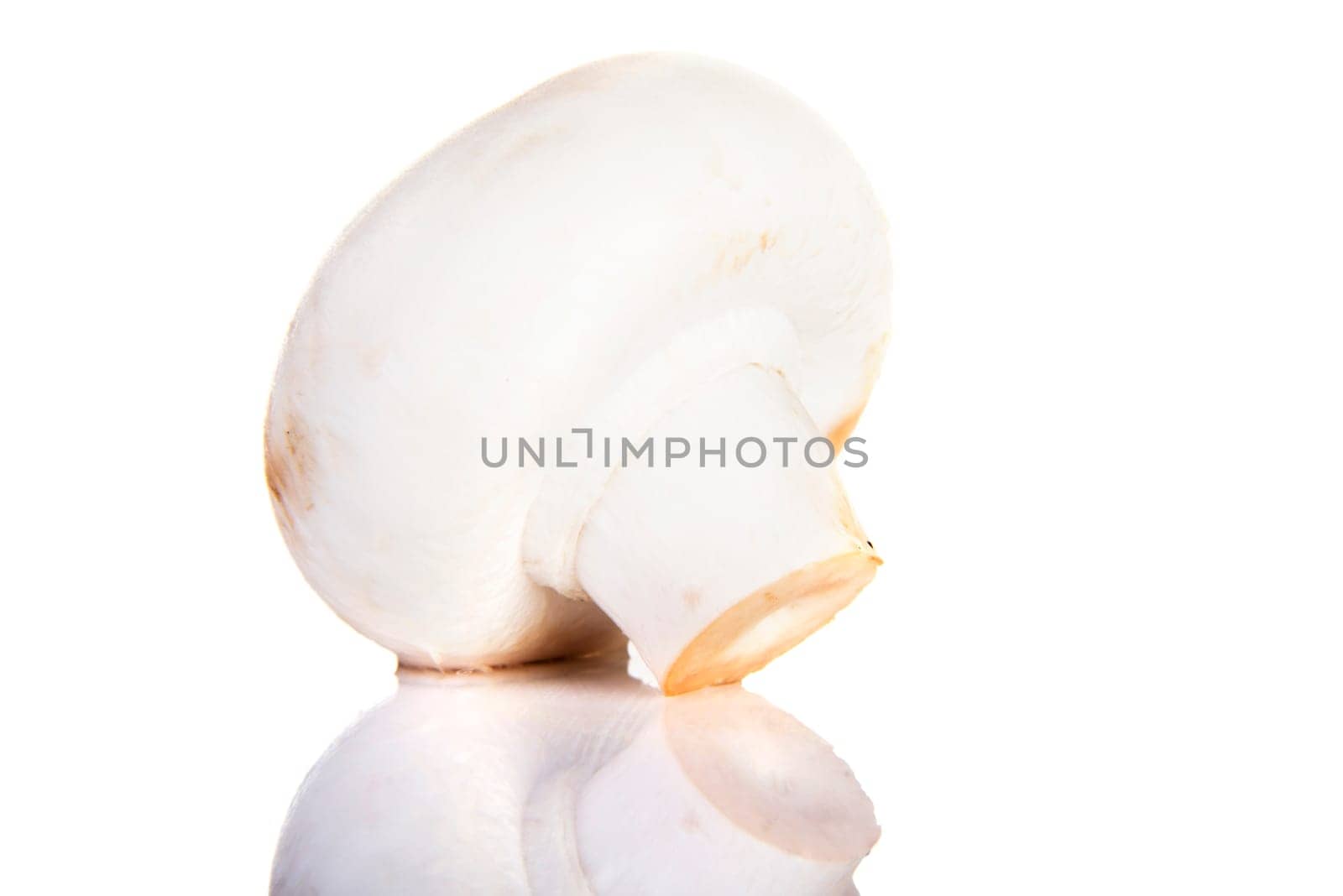 Edible button mushroom, 	champignon, isolated on white background