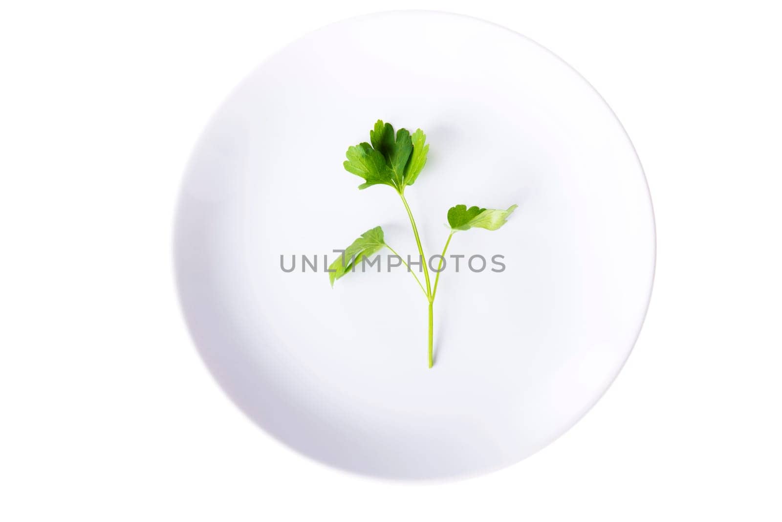 Parsley on plate,  isolated on white