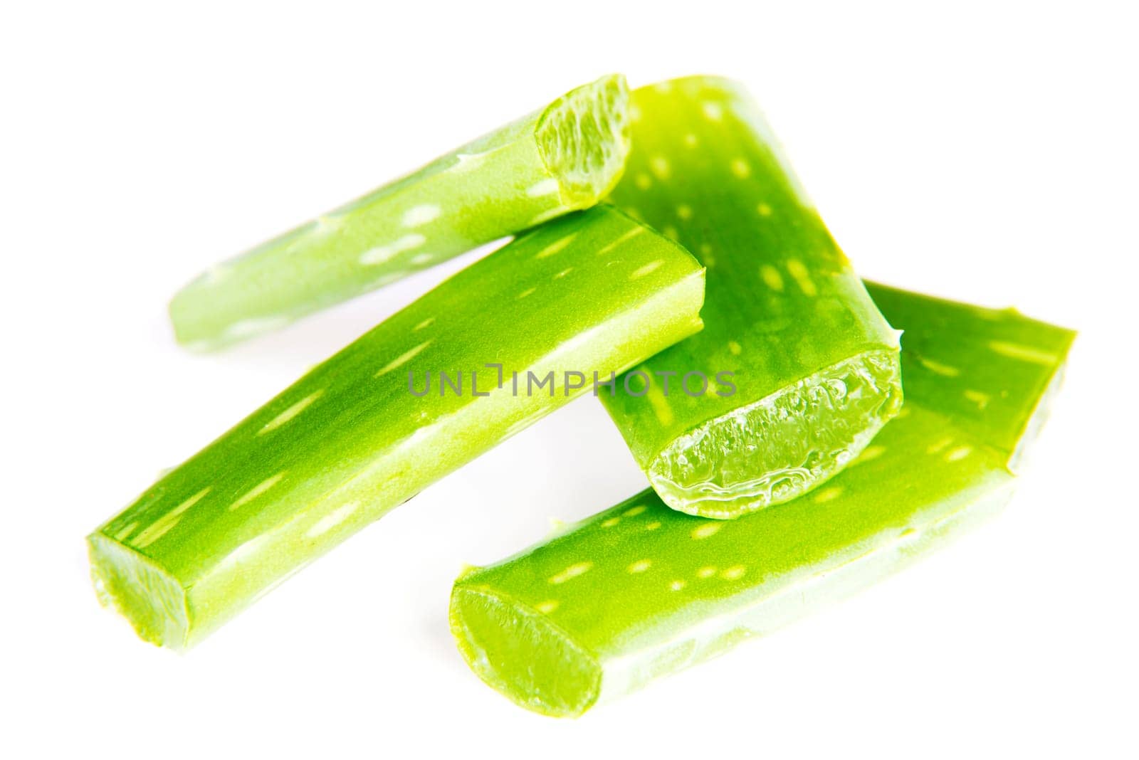 Aloe vera fresh leaf.