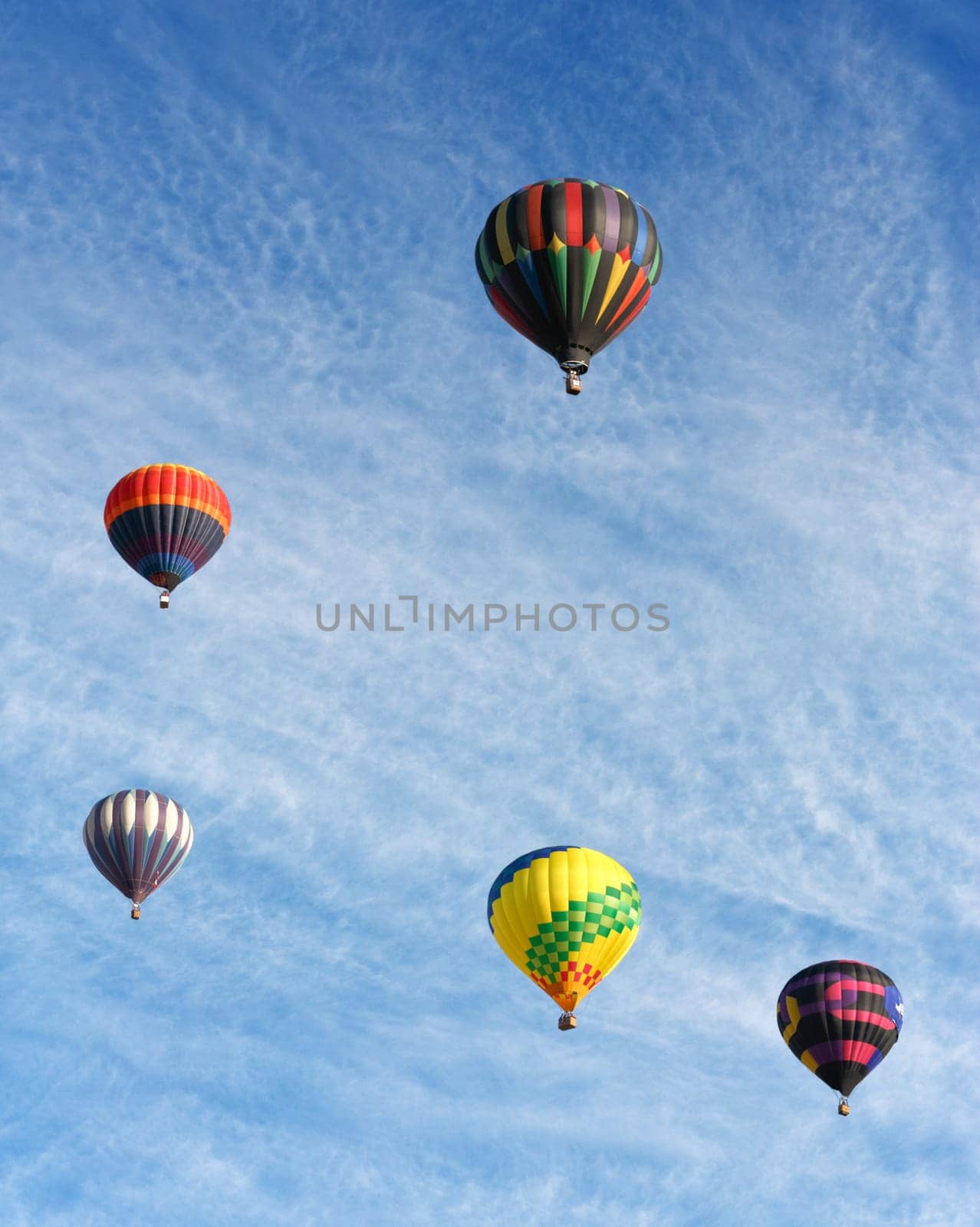 colorful hot air balloons