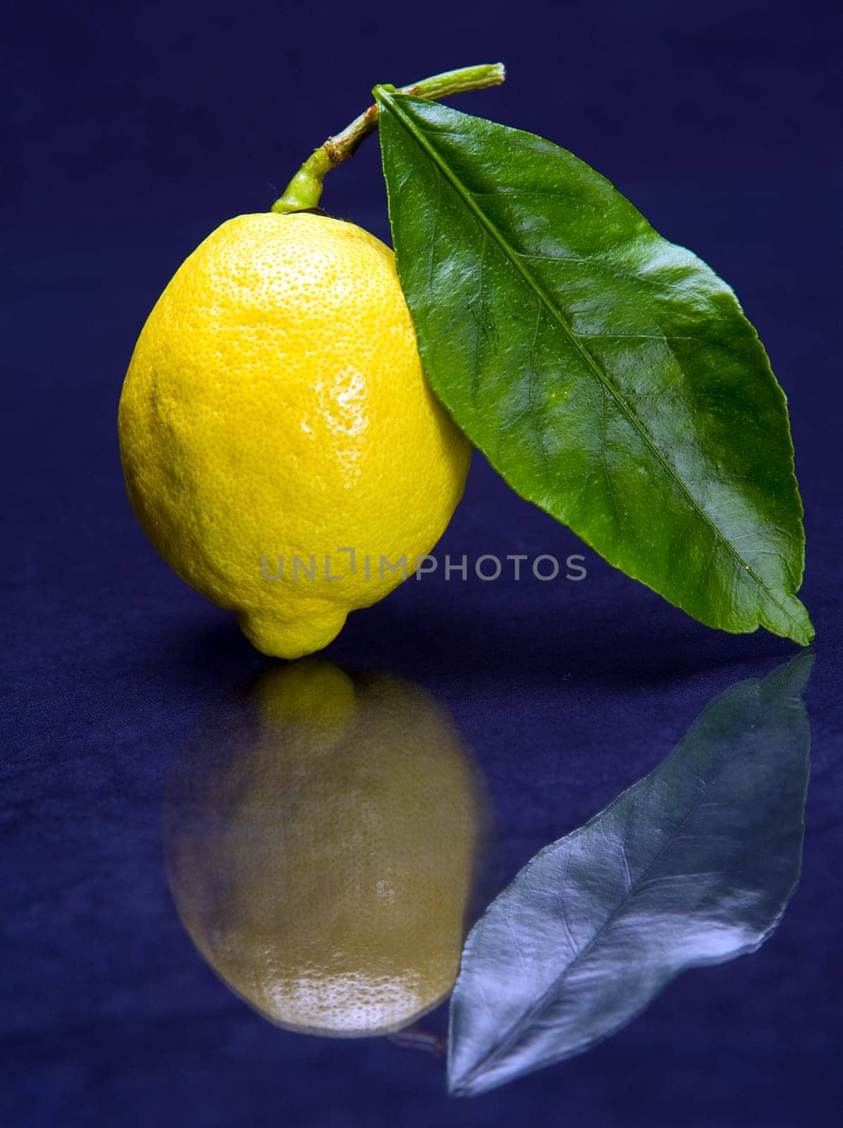 Lemon