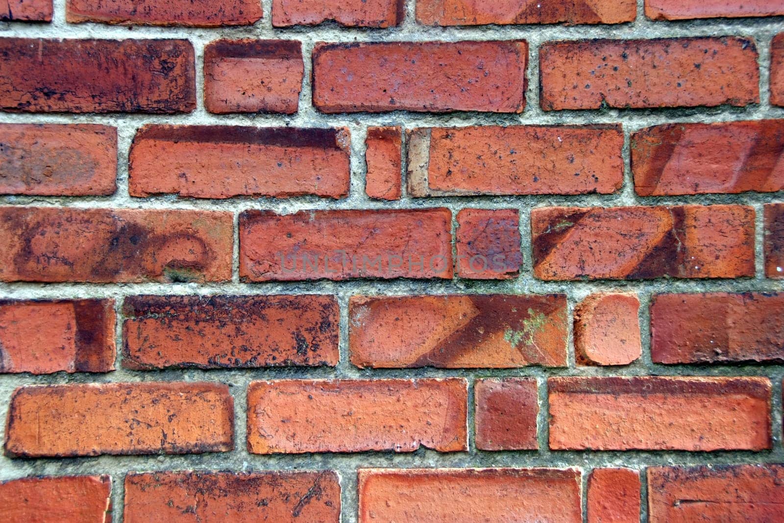 Wall made of bricks