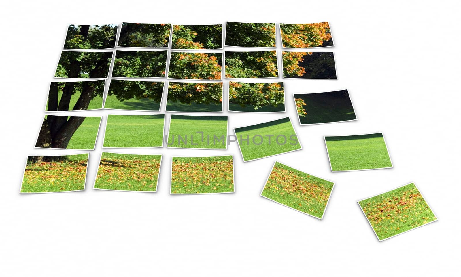 Sunny Autumn - Photo Puzzle
