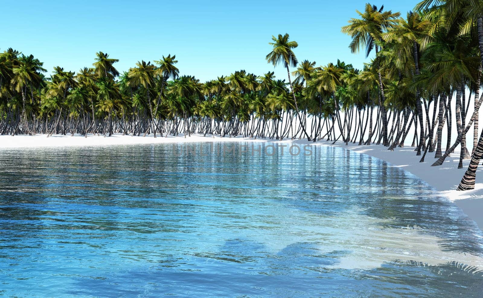 Tropical view