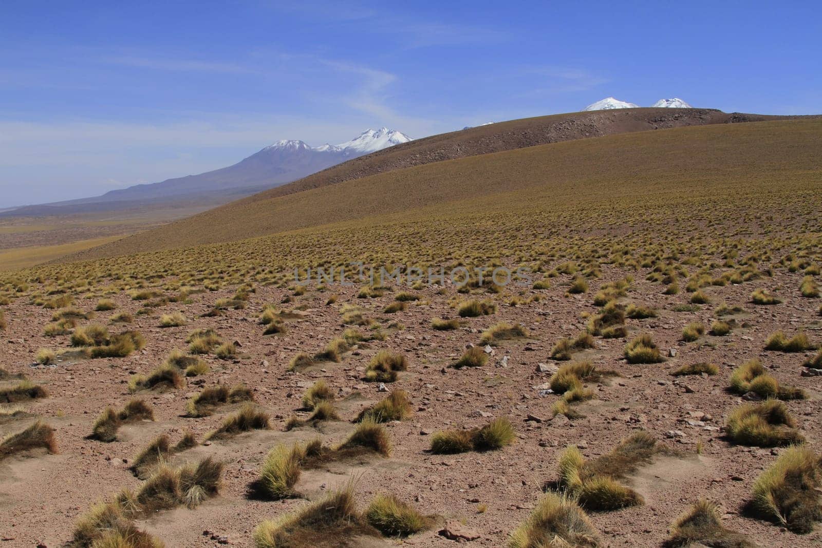 Salar de Atacama