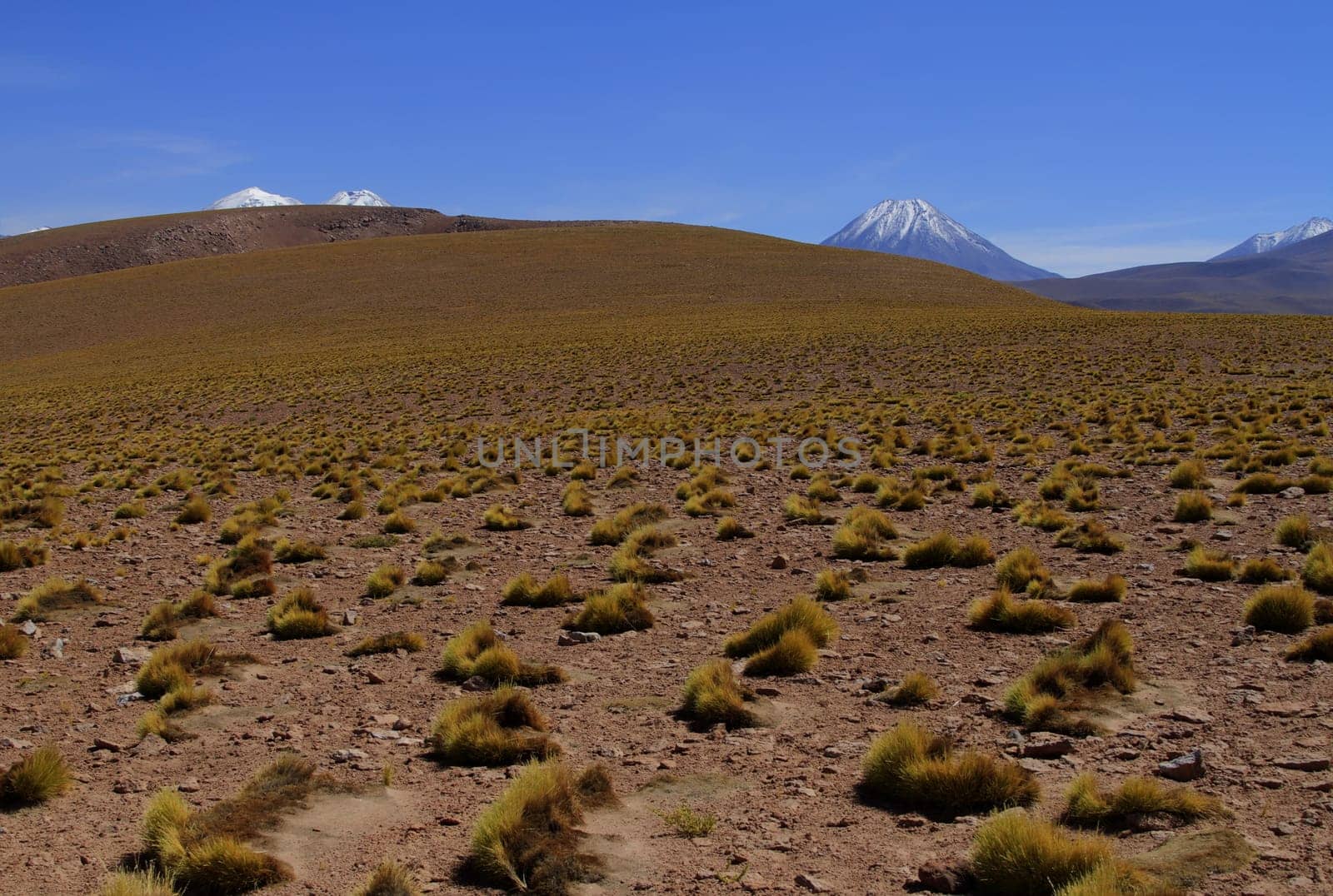 Salar de Atacama