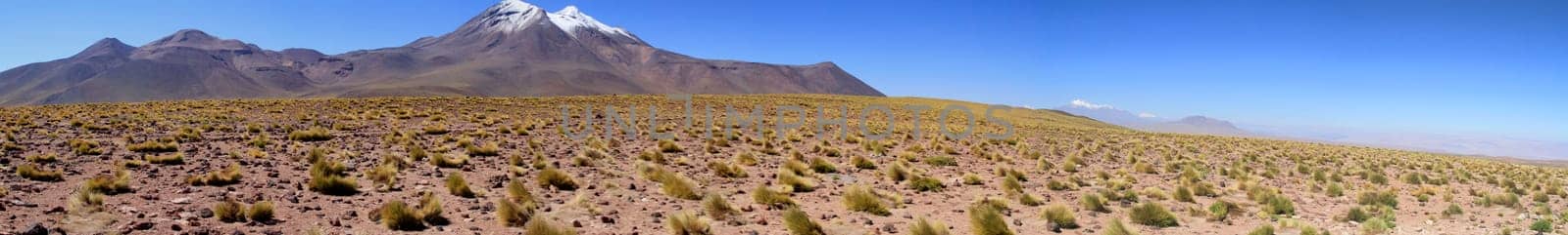 Salar de Atacama