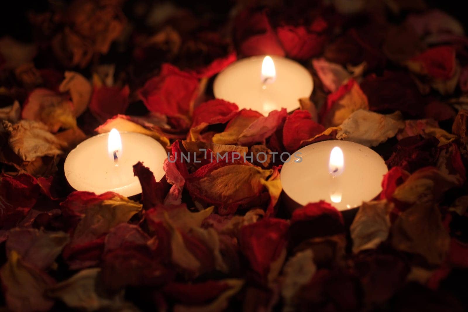 Three candles and dry rose petals