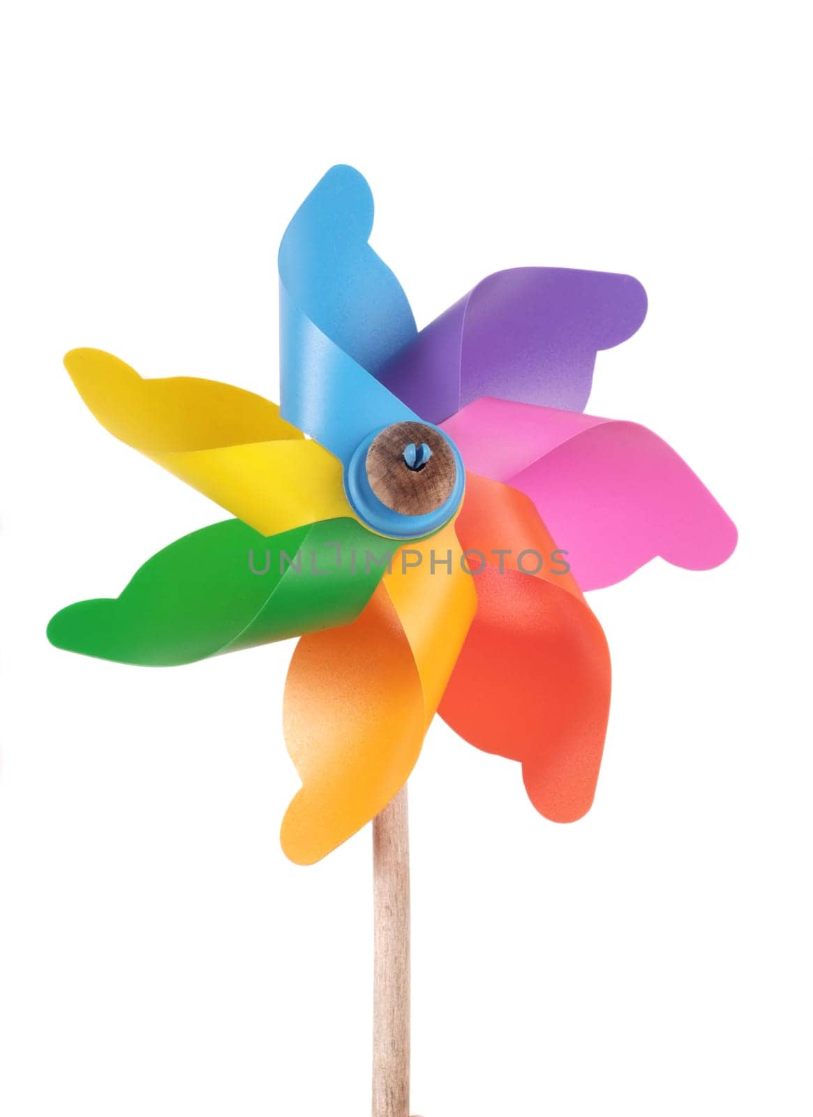 Mixed color Pinwheel on white