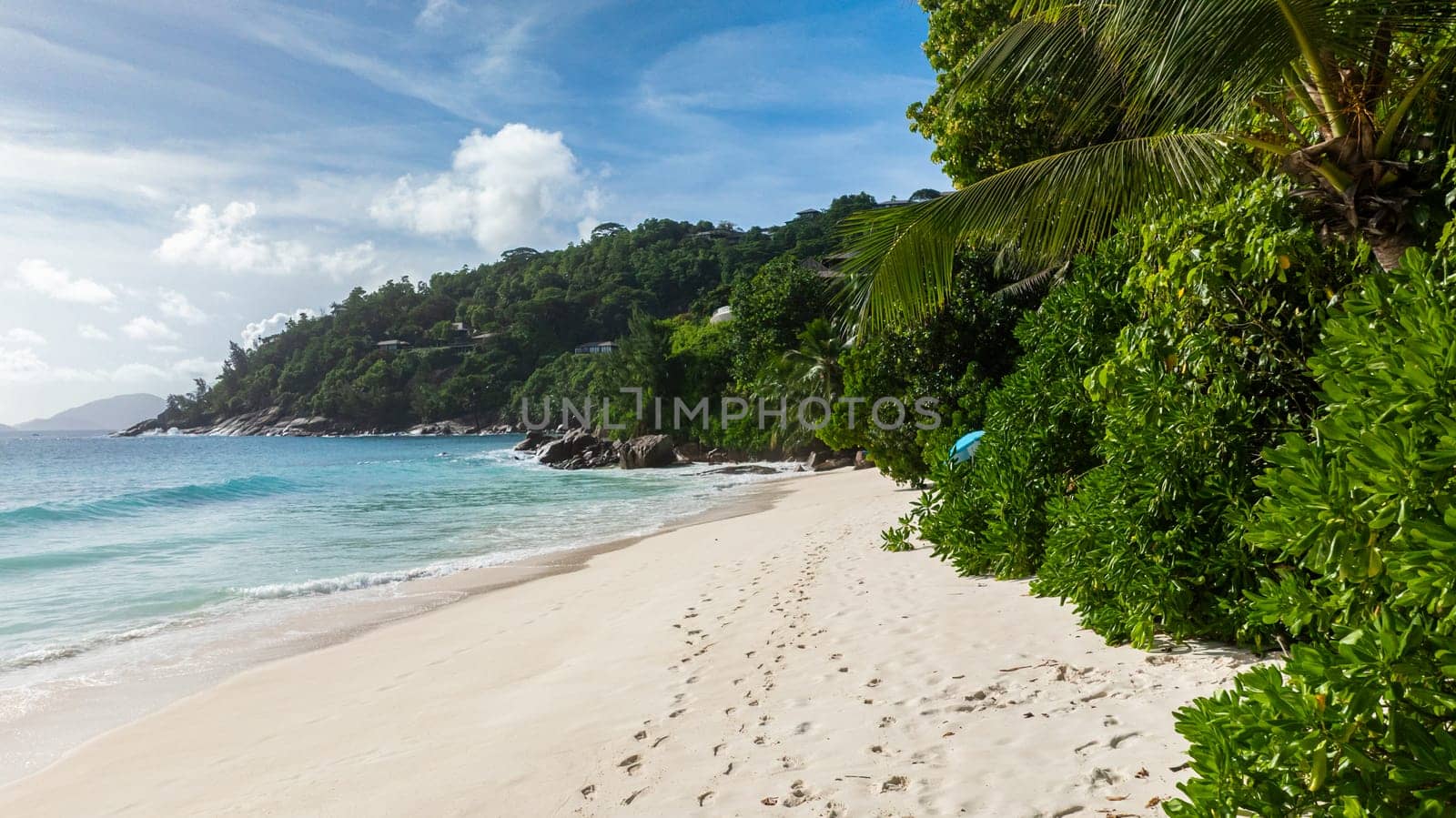 A soft white sand beach with clear blue waters and vibrant green palms. Seychelles, Mahe. Petite Anse.
