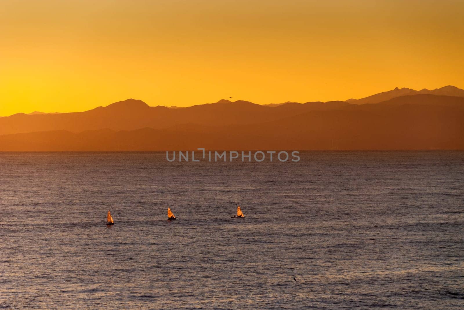 sailboats at sunset in Genoa