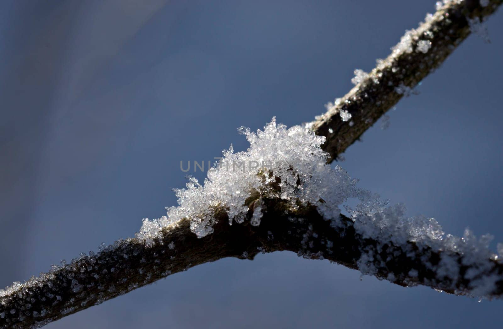 Frost