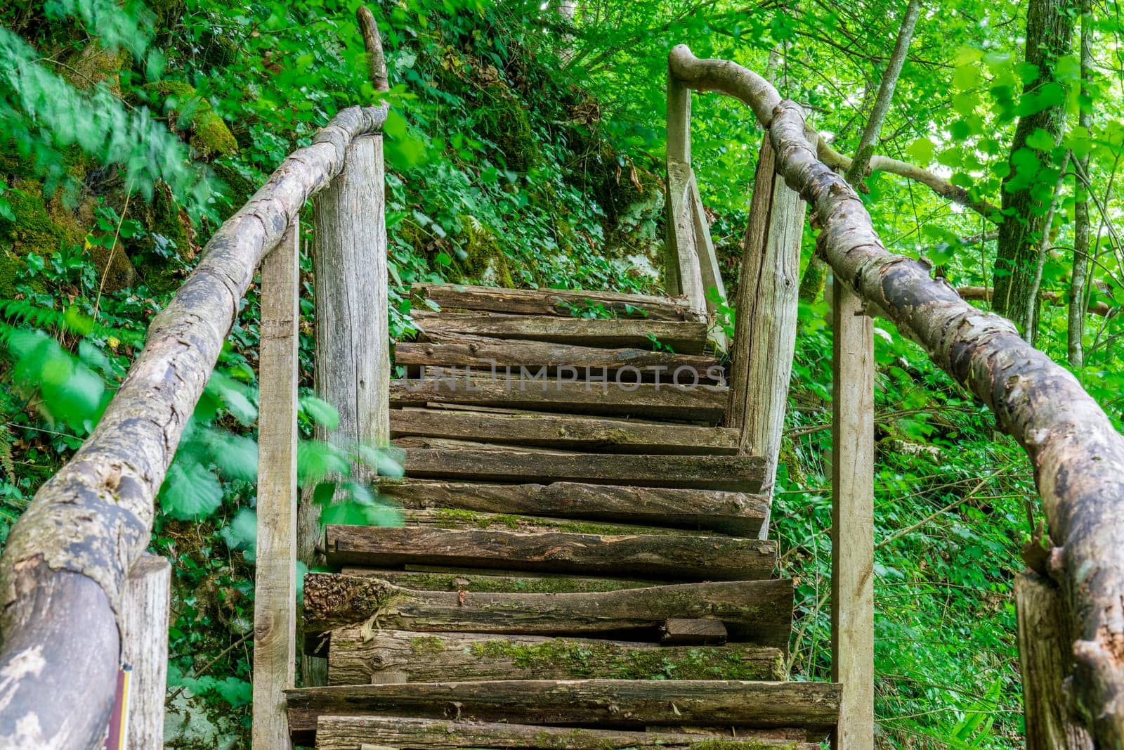 walking trails in Plitvice Lakes National Park in Croatia, enjoying nature, beautiful forest by PhotoTime