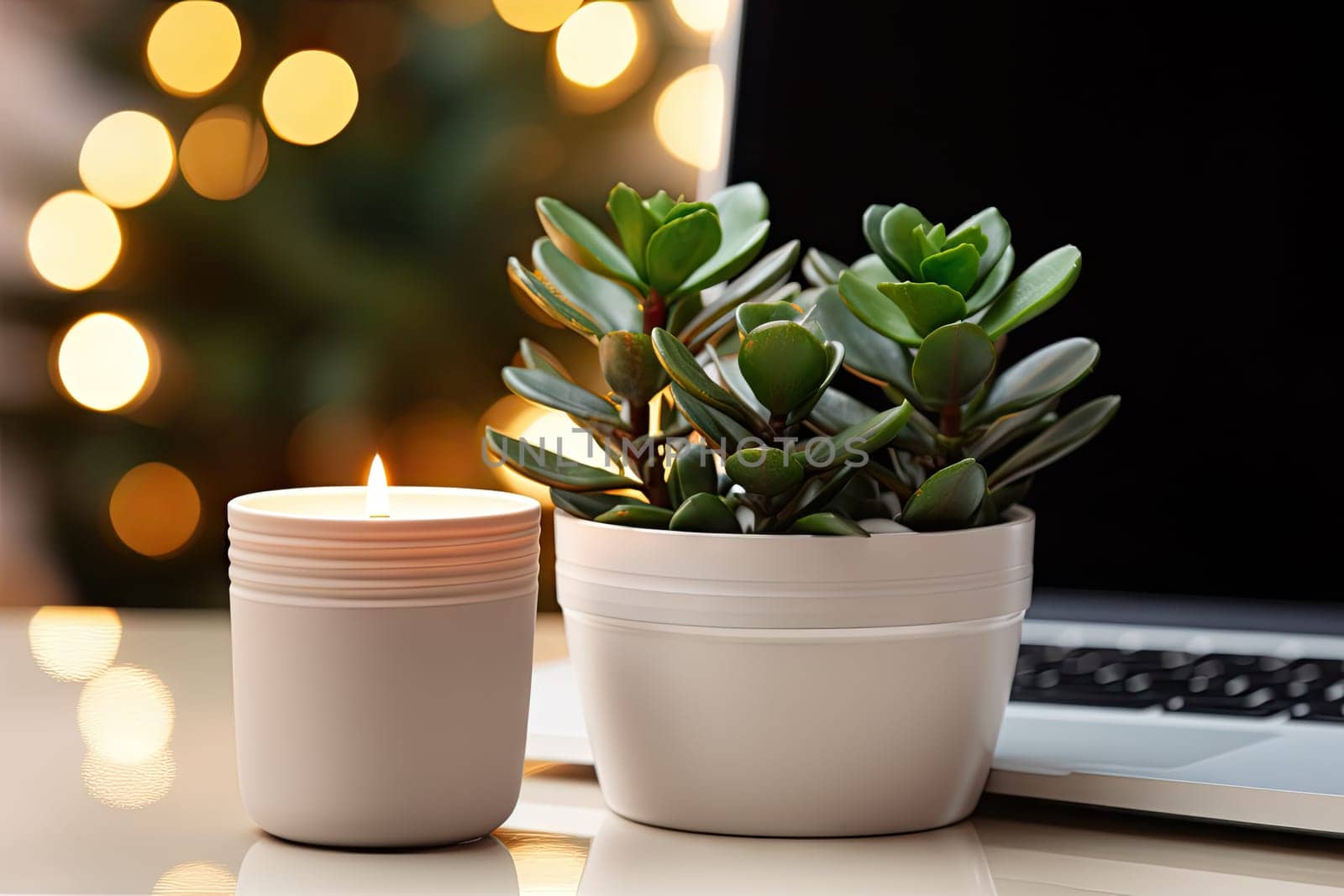 two potted plants sitting on a desk next to a laptop with a lit christmas tree in the back ground