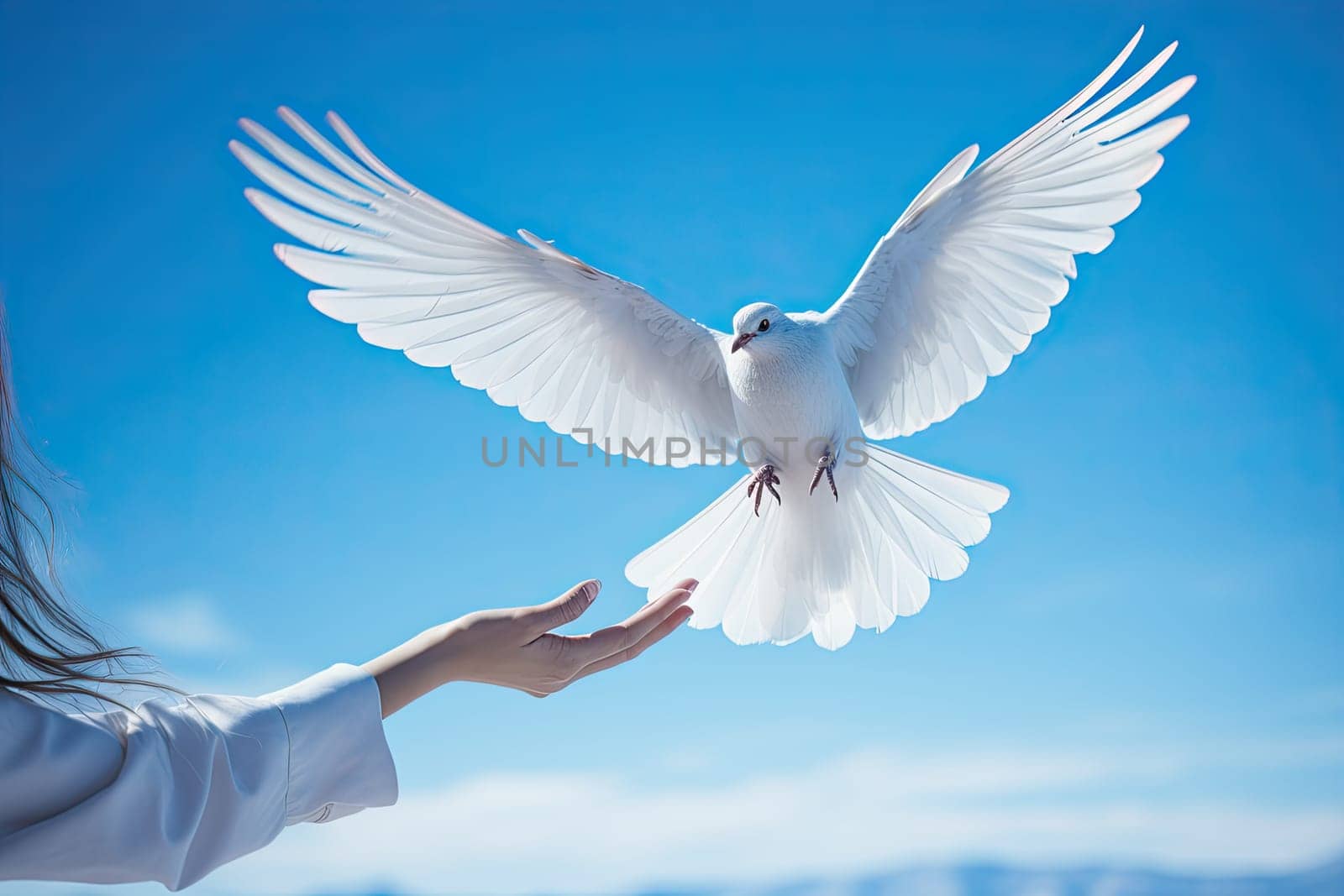 a woman is releasing a white bird into her hand by golibtolibov