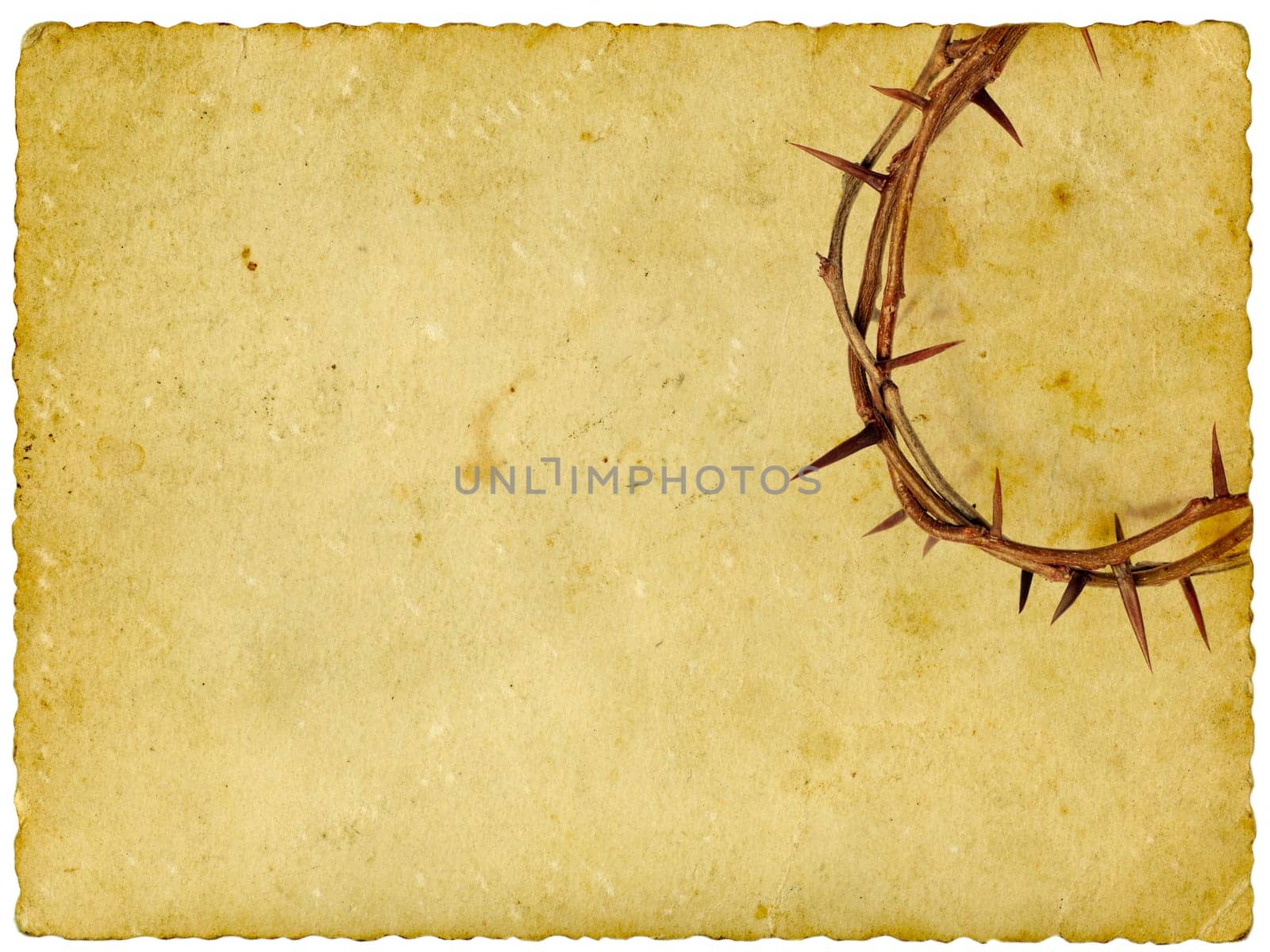 Crown of Thorns on vintage background. Isolated on white.
