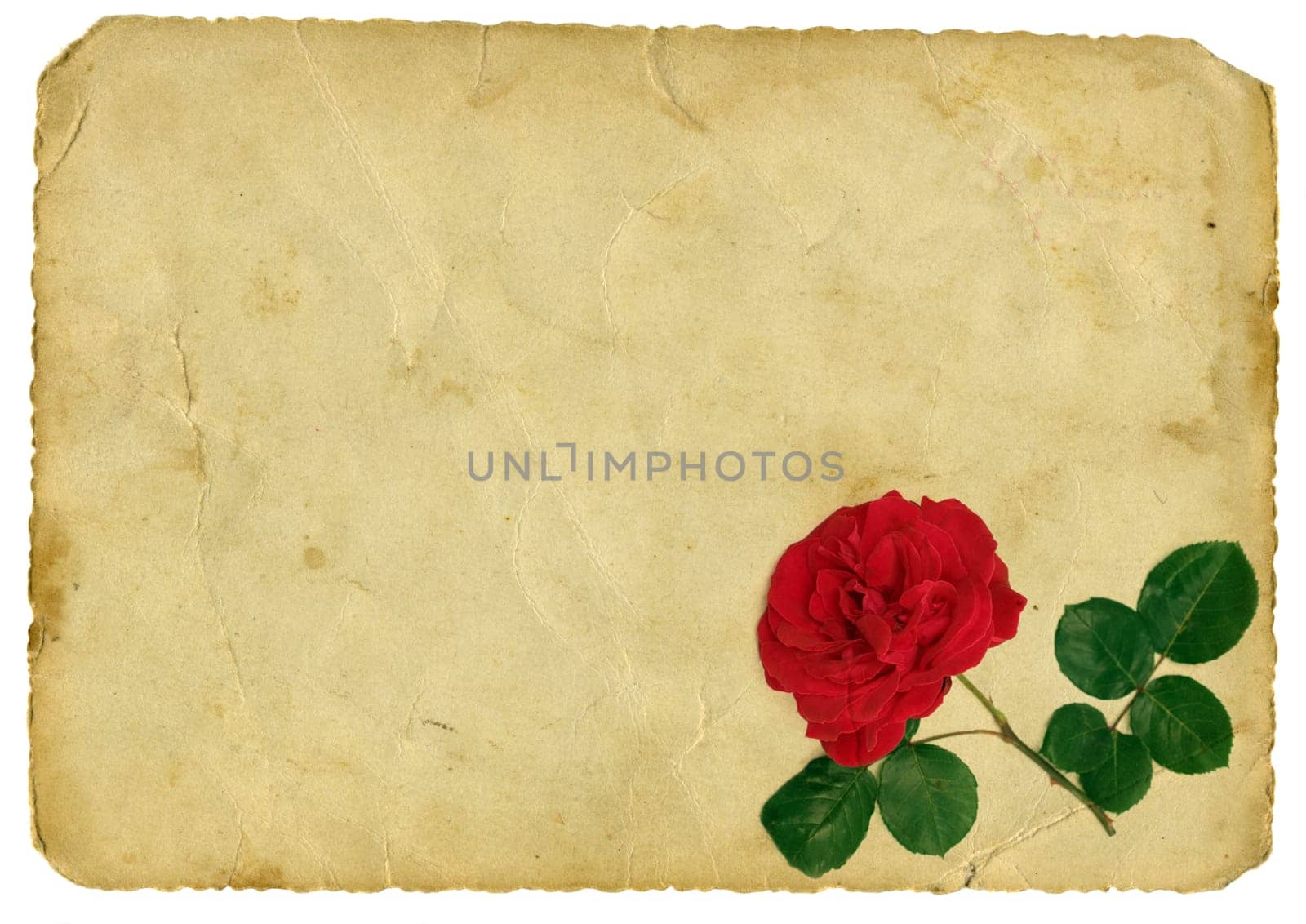 Vintage love letter isolated on white