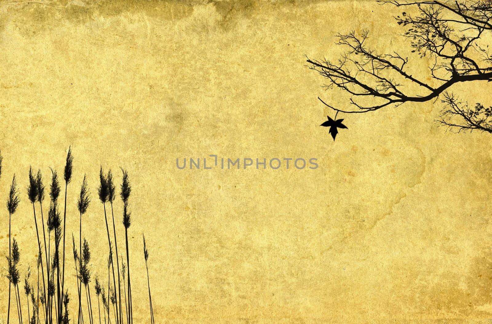 Branch and grass on vintage paper background