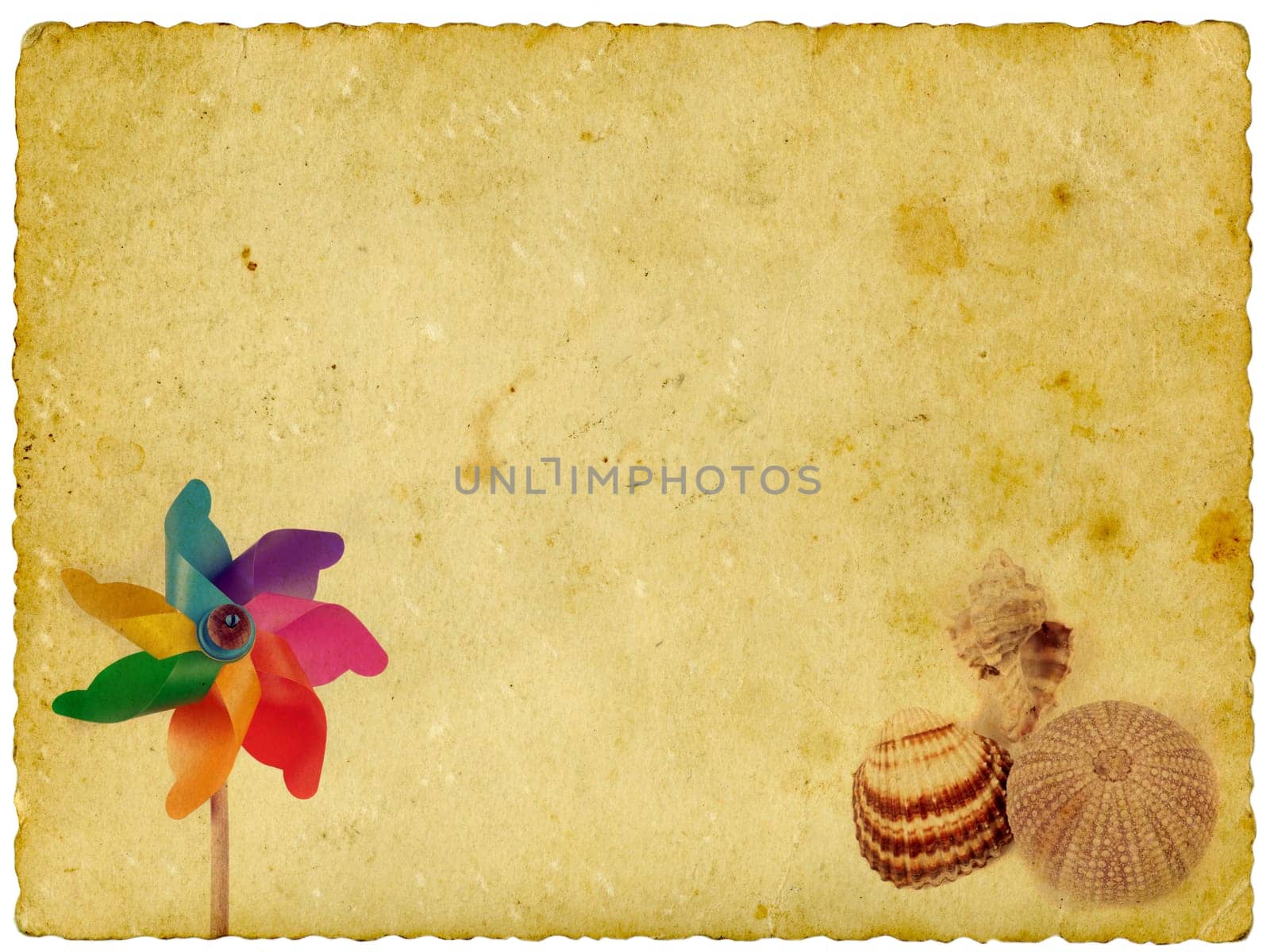 Old paper with summer objects