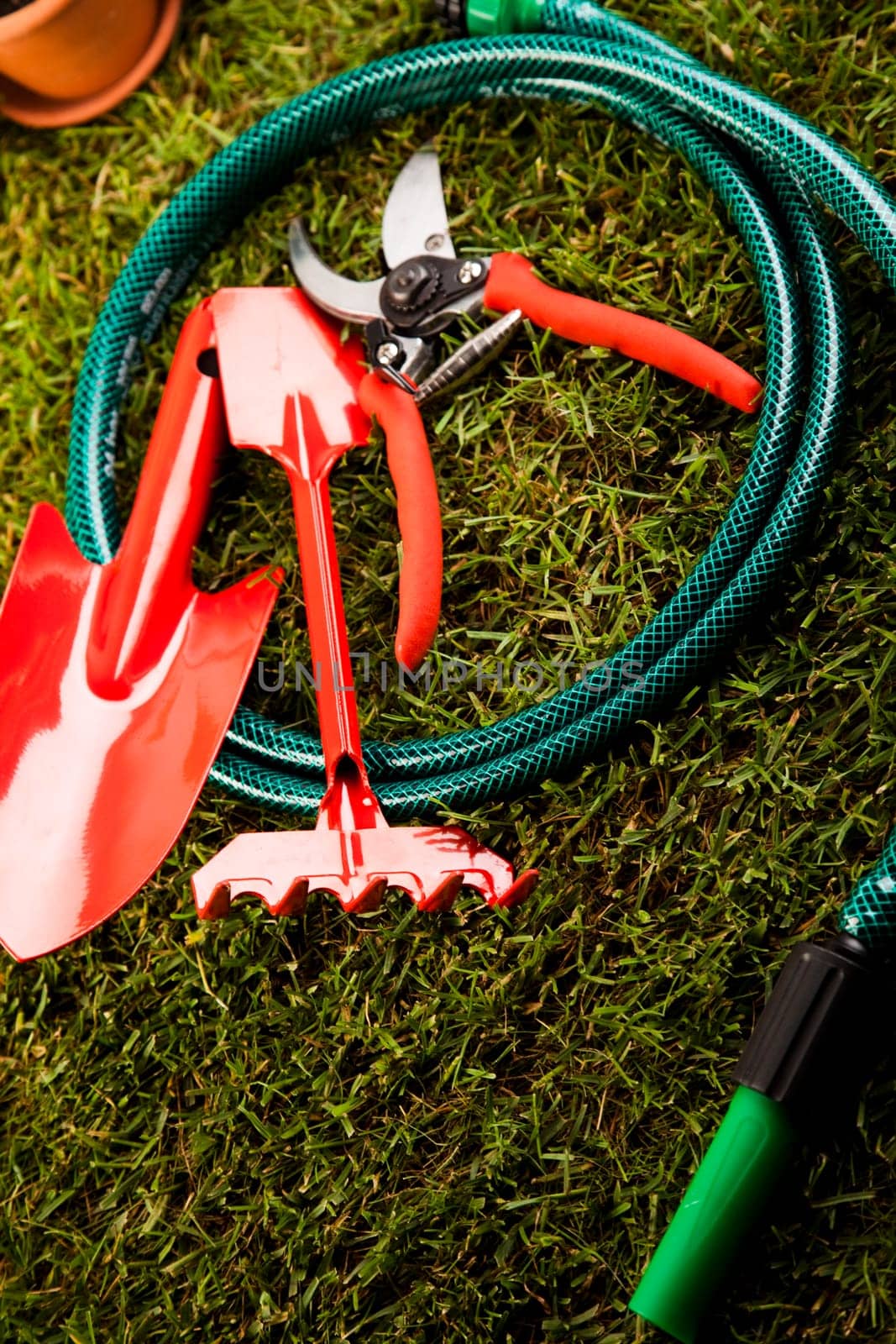 Gardening time, garden