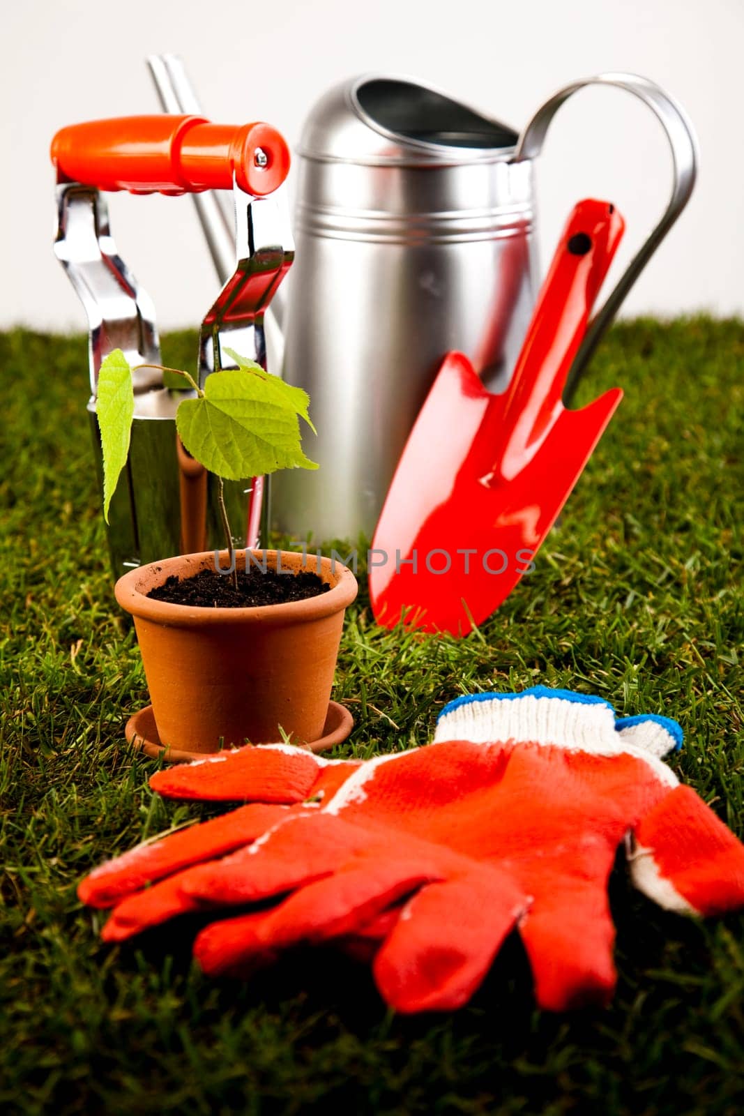 Gardening concept
